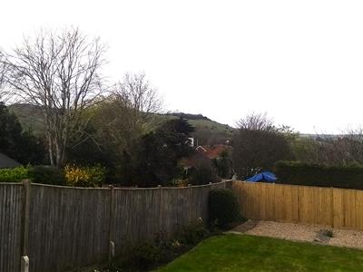Picture 2